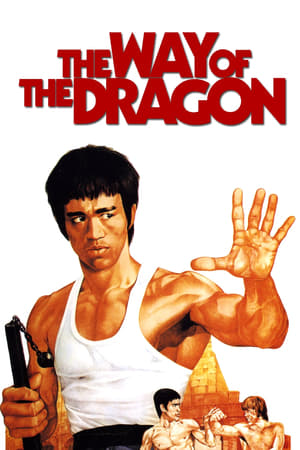 The Way of the Dragon (1972) Hindi Dual Audio 300MB - Movierulz