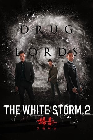 The White Storm 2: Drug Lords (2019) Hindi (Org) [950MB] - Movierulz