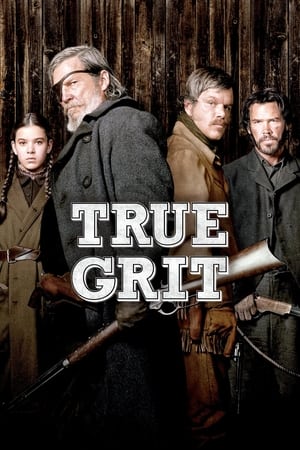 True Grit (2010) Hindi Dual Audio 350MB - Movierulz