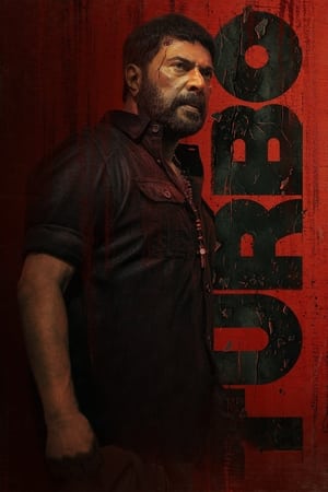 Turbo 2024 Hindi Dual Audio – 720p – - Movierulz