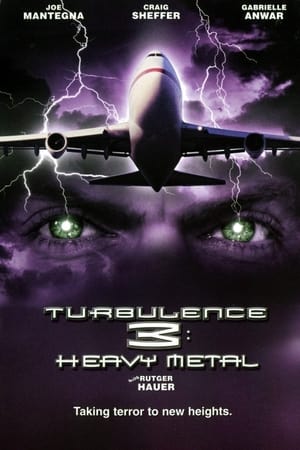 Turbulence 3 Heavy Metal 2001 Hindi Dual Audio [1GB] - Movierulz
