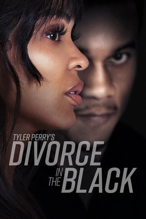 Tyler Perry’s Divorce in the Black (2024) Hindi Dual Audio – 720p – - Movierulz