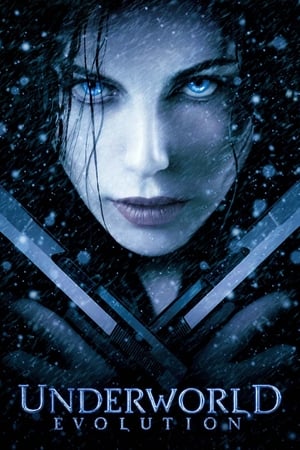 Underworld Evolution (2006) 100mb Hindi Dual Audio movie Download - Movierulz