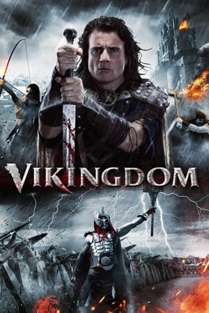 Vikingdom 2013 Hindi Dual Audio [1GB] - Movierulz