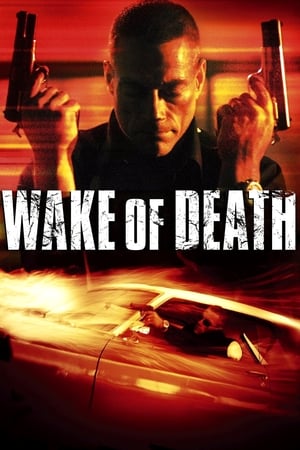 Wake of Death 2004 Hindi Dual Audio [1GB] - Movierulz