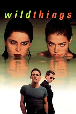 Wild Things (1998) 100mb Hindi Dual Audio Download - Movierulz