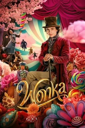 Wonka 2023 Hindi (HQ-Dub) Dual Audio – - Movierulz