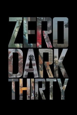 Zero Dark Thirty 2012 Hindi Dual Audio [1.2GB] - Movierulz