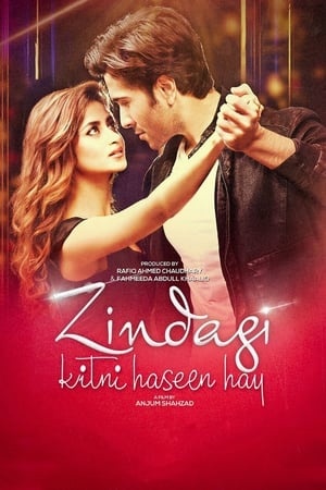 Zindagi Kitni Haseen Hay (2016) Pakistani Movie Download - Movierulz